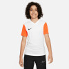 Nike Park VII Langarmshirt