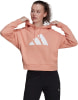 adidas Future Icons Hoodie