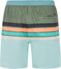 Protest Prtavik Badeshorts