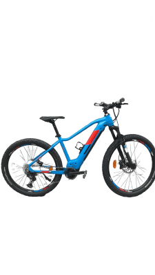 Genesis E-Pro MTB 2.2 LTD