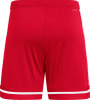 adidas SQUA25 SHO M Short AEROREADY