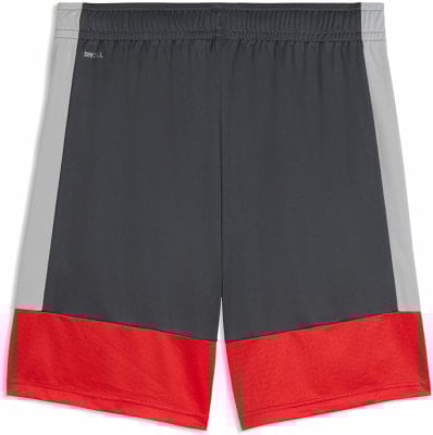 Puma IndividualLIGA Short