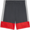Puma IndividualLIGA Short