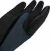 adidas XPR GTX WS GLO Handschuhe TERREX
