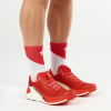 Salomon S/LAB Pulsar 4 Traillaufschuhe