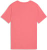Puma Tad Ess Logo Graphic G T-Shirt
