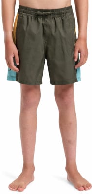 Quiksilver Everyday Holmes Badeshorts