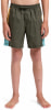 Quiksilver Everyday Holmes Badeshorts