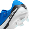 Nike Legend10 Pro FG Fußballschuhe