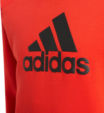 Logo Hoodie