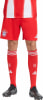 adidas FC Bayern München 23/24 Heimshorts