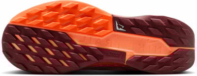 Nike Pegasus Trail 5 GTX Traillaufschuhe