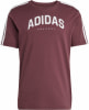 adidas Codes Collegiate Linear Graphic T-Shirt
