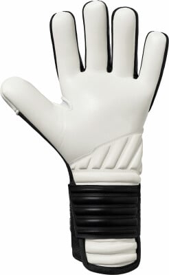 Erima FleX-Ray Match Torwarthandschuhe