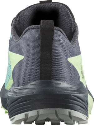 Salomon Sense Ride 5 GTX Traillaufschuhe