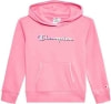 Champion Hooded Sweatshirt Legacy tréninková mikina