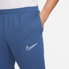 Nike Dri-FIT Academy Trainingshose