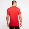 Nike Dry Park 20 T-Shirt