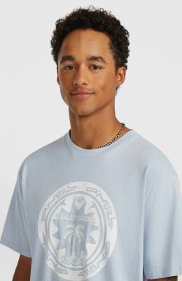 O'Neill Musthave Graphic T-Shirt