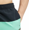 Firefly Natal II Badeshorts