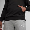 Puma teamGOAL Casuals Hoodie