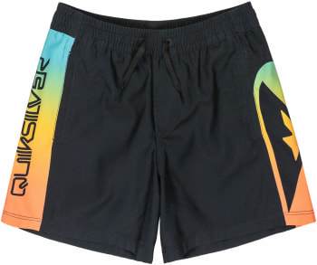 Quiksilver Everyday Holmes Badeshorts