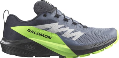 Salomon Sense Ride 5 GTX Traillaufschuhe