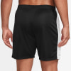 Nike Dri-FIT Academy23 férfi rövidnadrág