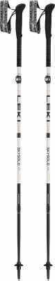 Leki Skysolo FX.One Carbon Faltstock