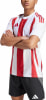 adidas STRIPED 24 JSY Trikot AEROREADY