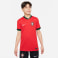 Portugal 2024 Heimtrikot