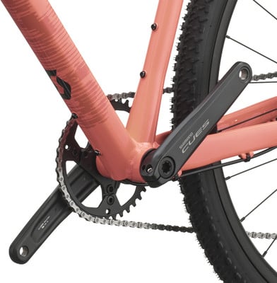 Detail eines Fahrrads mit Kurbeln und Kette auf einem Korallenrahmen. Detail eines Fahrrads mit Kurbeln und Kette auf einem Korallenrahmen.