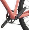 Detail eines Fahrrads mit Kurbeln und Kette auf einem Korallenrahmen.