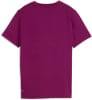 Puma Tad Ess Logo Graphic T-Shirt
