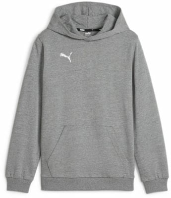 Puma teamGOAL Casuals Hoodie