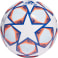 FIN 20 TRN Fußball
