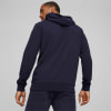 Puma teamGOAL Casuals Hoodie