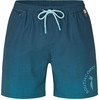 Herren dunkelblaue Badeshorts mit Farbverlauf und Logo auf dem Bein.