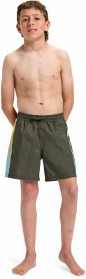 Quiksilver Everyday Holmes Badeshorts