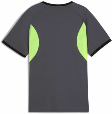 Puma IndividualLIGA T-Shirt