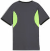 Puma IndividualLIGA T-Shirt