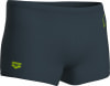 Arena Scratchy Swim Badehose lang
