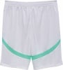 Puma ÖFB 2024 Fußballshorts Replica