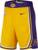Nike NBA Los Angeles Lakers Icon Basketballshorts