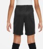 Nike Dri-FIT Academy23 gyerek rövidnadrág