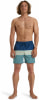 Billabong All Day Stripe Badeshorts