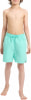 Firefly Ken III Badeshorts
