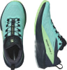 Salomon Sense Ride 5 GTX Traillaufschuhe