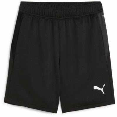 Puma teamGOAL Trainingsshort