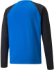 Puma TeamLIGA Training Sweater
